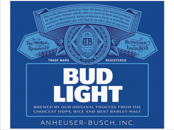 Anheuser-Busch - Bud Light (12 pack 16oz bottles) (12 pack 16oz bottles)