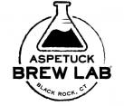Aspetuck Brew Lab - Amigo Mexican Style Lager (415)